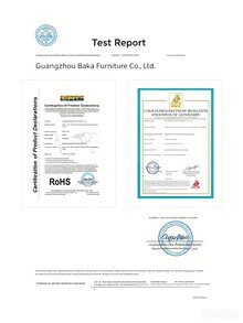 CE Certificate Test Report