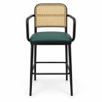 JYX-050 Green Cane-Back Metal Bar Stool front view