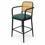 JYX-050 Green Cane-Back Metal Bar Stool left 45-degree view