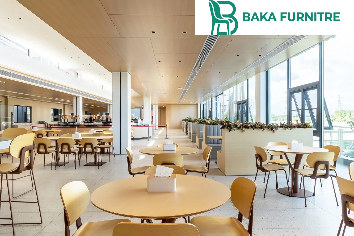 Warm timber chairs and slim pedestal tables in a minimalist commercial dining space, project view 3