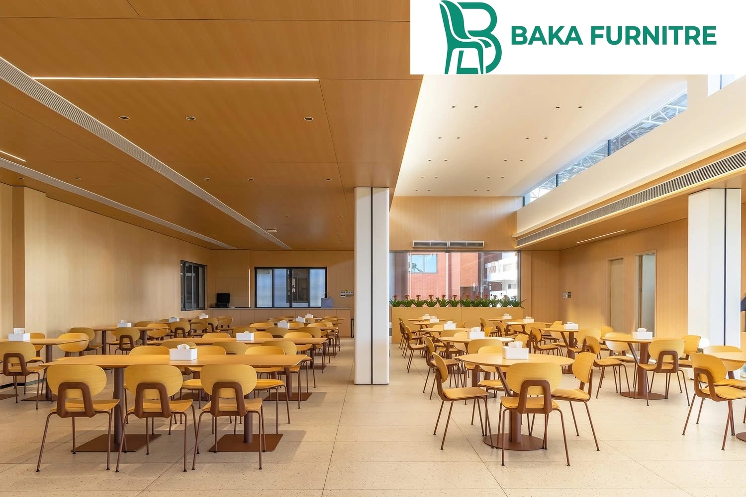Warm timber chairs and slim pedestal tables in a minimalist commercial dining space, project view 7