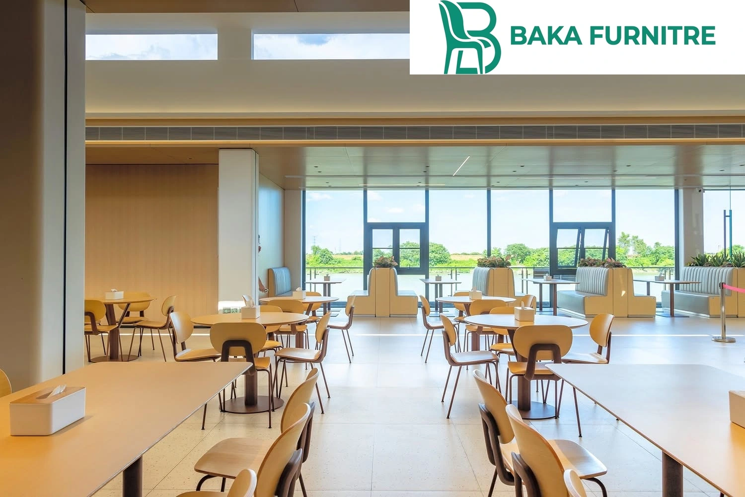Warm timber chairs and slim pedestal tables in a minimalist commercial dining space, project view 8
