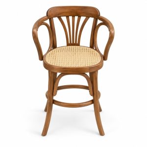 HX-DC-015 A76编藤吧椅 Commercial Dining Chair front view