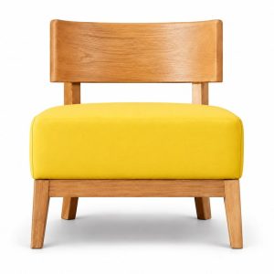 HX-DC-022 SK305餐椅 Commercial Dining Chair front view