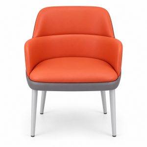 Orange Cushioned Lounge Chair