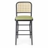 JYX-134 Green Seat Cane-Back Bar Stool