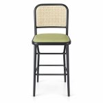 JYX-134 Green Seat Cane-Back Bar Stool front view
