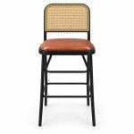 JYX-282 Tan Seat Cane-Back Bar Stool front view