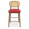 JYX-293 Red Seat Cane-Back Bar Stool